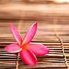 //luna-site.gportal.hu/portal/luna-site/image/gallery/1281638050_37.png