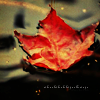 //luna-site.gportal.hu/portal/luna-site/image/gallery/1285856631_80.png